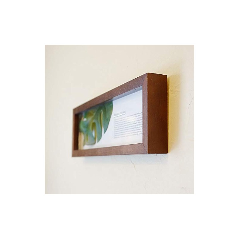 Leaf Panel Monstera II Plaque Horizontal (Brown) Leaf Frame Panel