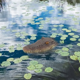 Rehomy Pond Floating Alligator Head Decoy Pool Accessories Detailed Artificial Alligator Head for Pond Decoration and Protection (01)