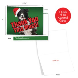 Christmas Dog Big Thanks' Holiday Notes, Boxed Set of 10 Holiday Cards with Dogs Saying Thank You 4 x 5.12 inch, Funny Puppy Christmas Cards, Silly Dog Gratitude Christmas Cards M2369XTG-B1x10