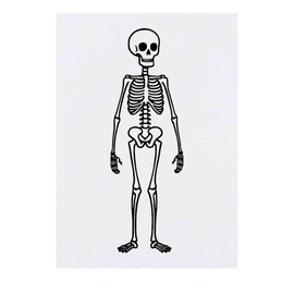 'Creepy Skeleton' Temporary Tattoo - Water Resistant, Skin-Safe, Non-Toxic Transfer (TO00078211)
