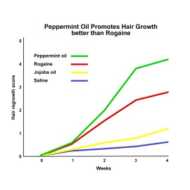 Hare Oil - 2 oz - Premium Organic Hair Growth Oil - Essential Oils in Argan Oil