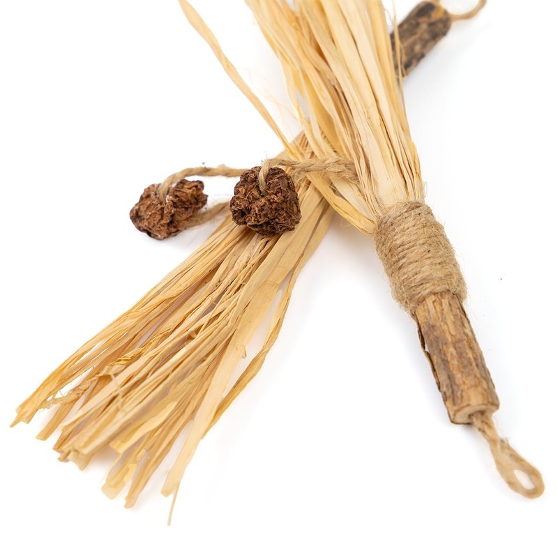 CanadianCat Company Cat Toy Matatabi Sticks with Raffia (Pack of