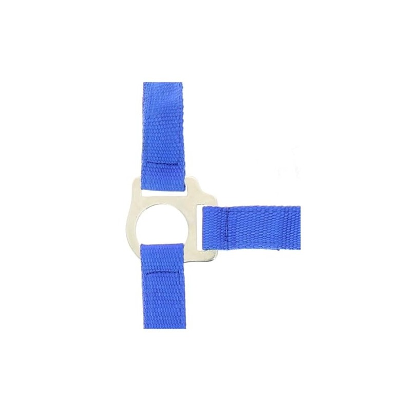 Various Various Headcollar and Lead Rope Club - Colours -