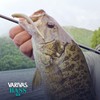 VARIVAS (バリバス) VARIVAS Bass PEX4 150m Flash Green 0.8 No.