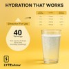 LyteShow - Electrolyte Concentrate for Rapid Rehydration - NO Sugars,