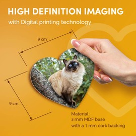 Destination Vinyl ltd Great Coasters (Set of 2) Heart - Balinese Cat in Tree Blue Eyes Drink Glossy Coasters/Tabletop Protection for Any Table Type #15812