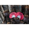 Strut Commander Turkey Mouth Call | Must Have Hunting Accessory