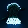 SWEET SHINE 100 Cool White Raspberry One-Piece LED Christmas Lights,