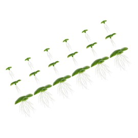 Kisangel 6 Pack Fake Floating Duckweed for Aquarium Pond Natural Looking Artificial Plants Fish Tank Accessories Decor