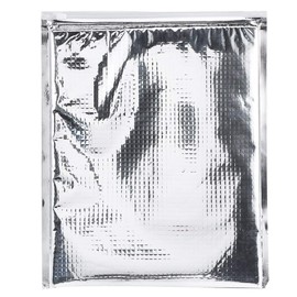 VGEBY 3 Types 5 Pieces/Set Aluminium Foil Insulated Storage Bags for Food Thermal Cooler Silver Insulated Bags (25 x 30 cm) Insulated Bag Insulated Bag Insulated Bag