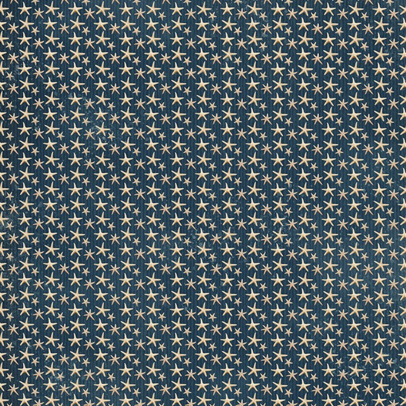 Graphic45 DIVE RIGHT IN (1 PC) 12x12 Scrapbooking Paper SHELLS