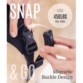 2025 New Edition, Fei & Eve MagEase Dog Harness - 3-Second Magnetic Buckles | 3-Point No-Pull Control | Heavy-Duty 900D Nylon | Dual Safety Handles | Breathable Mesh | Adjustable Fit |Small, Blue