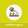 Yupik Organic Ground Buckwheat Flour 2.2 lb (35.2 oz), USDA