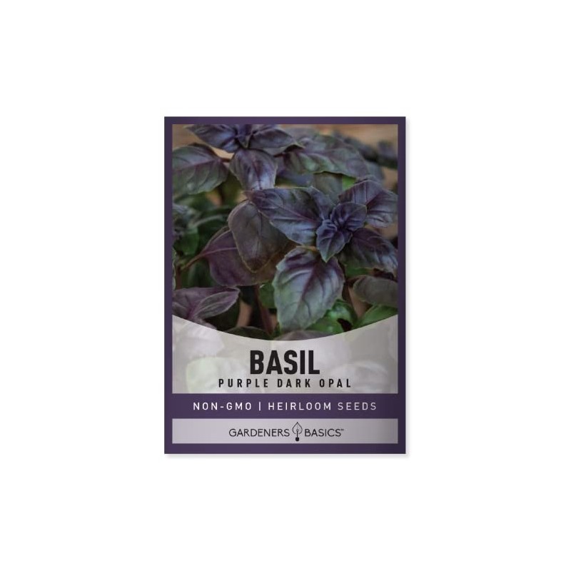 Basil Seeds for Planting Herbs Purple - (Purple Dark Opal)