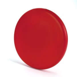 EQLEF Flying Discs Outdoor Toys for Kids, Soft PU Foam Flying Disc Beach Toy Outdoor Sports Park Toy for Kindergarten School Family(Red)