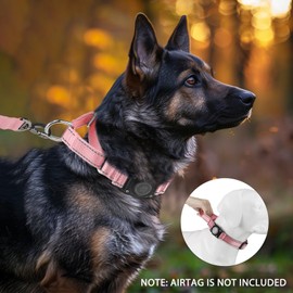 AirTag Dog Collar - Martingale Collar for Dogs, Reflective, Heavy Duty, Comfortable Padded, Adjustable Martingale Air Tag Dog Collars Fit Medium Large Dogs (Pink, XL)