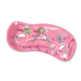 Wiggly Jiggly - Jellyfish from Deluxebase. Water Snake Fidget Toys for Stress & Anxiety Relief, Sensory Toy for Kids & Adults, Ideal for Autism and Party Favours.