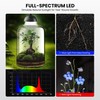 Glass Plant Terrarium, LED Grow Light, Adjustable Ventilation