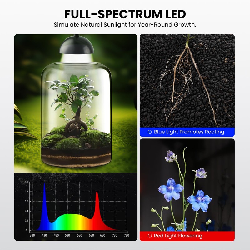 Glass Plant Terrarium, LED Grow Light, Adjustable Ventilation