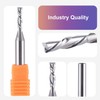 SpeTool 1/4 Inch Shank Down Cut Spiral Router Bit, 1/8