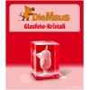 GLASFOTO.COM, The Mouse, Crystal Glass Interior Engraving in Premium Quality