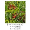 Organic Coffee Club Peruvian Alpaca Organic Coffee 200g Powder Medium