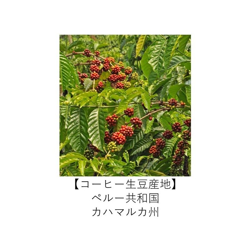 Organic Coffee Club Peruvian Alpaca Organic Coffee 200g Powder Medium