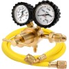 Unbranded Professional Nitrogen Regulator w/ Hose 0-800 PSI Output Pressure
