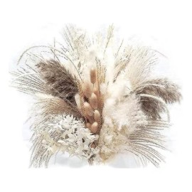 Qianailian 79 Piezas De Hierba De Pampa Seca Natural, Decoración Boho,