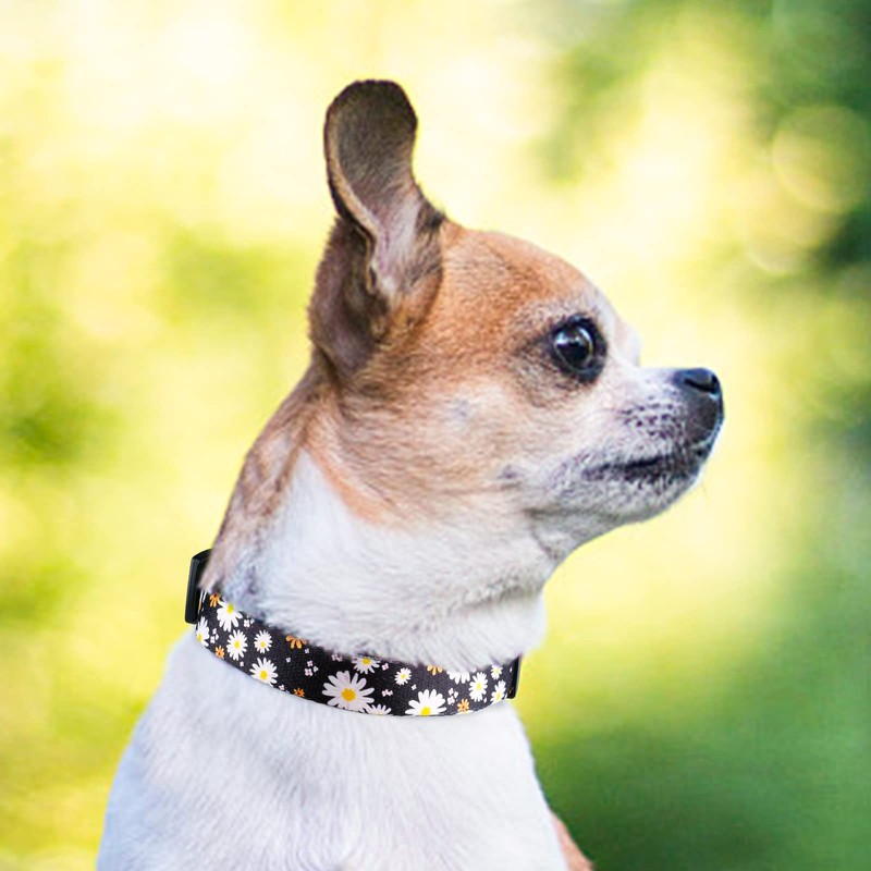 QQPETS Adjustable Soft Dog Collar: Print Flower Pink Multicolor Cute