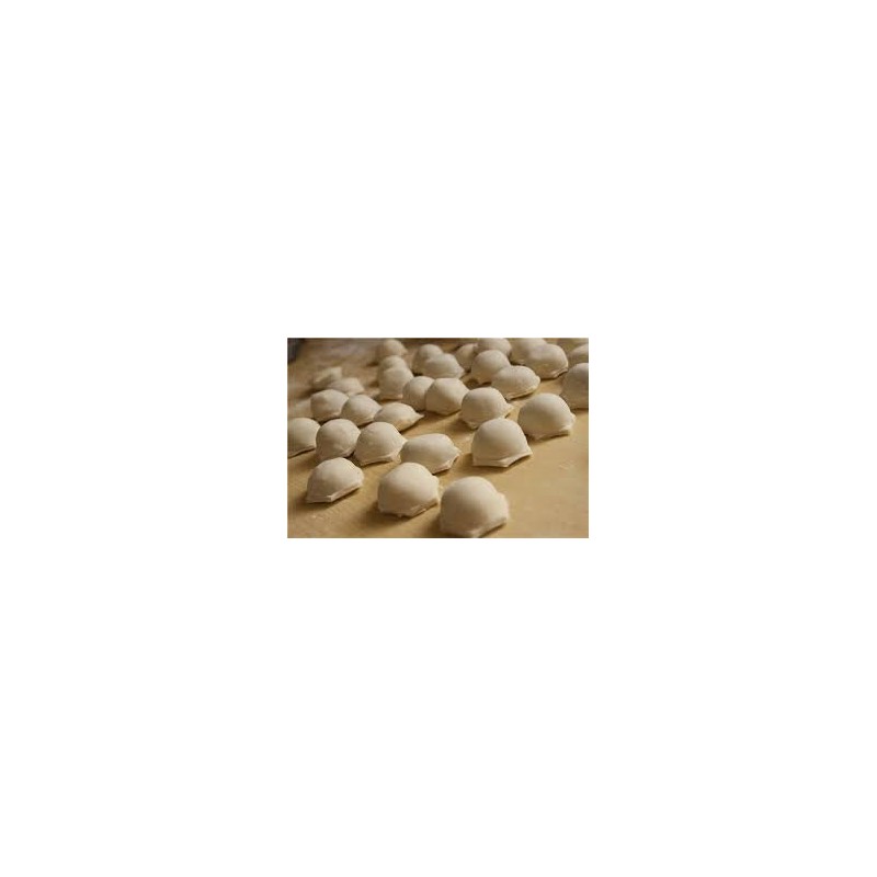 Russian Pelmeni Dumpling Machine Ravioli Plastic Mould Shape for Russian
