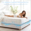 83”x59” Plastic Mattress Underlay Pad for RV Boat Camper