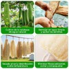 10 Piezas Estropajo para Trastes de Fibra Natural Biodegradable, Esponja
