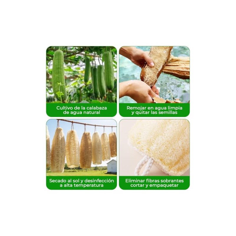 10 Piezas Estropajo para Trastes de Fibra Natural Biodegradable, Esponja
