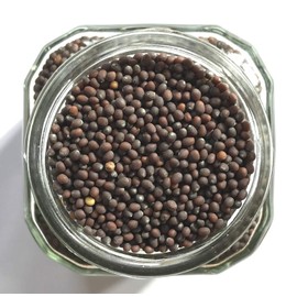 Mustard Seed Pair by Crimson & Clove. Whole Brown and Yellow Mustard Seeds 3.2 oz. Each