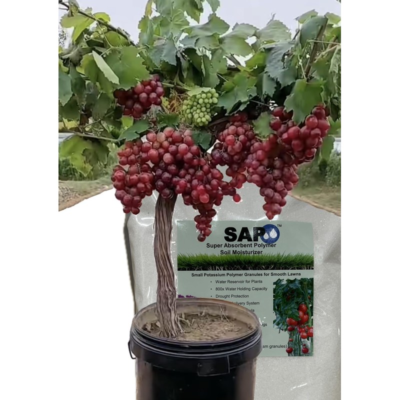 Soil Moist SAP Super Absorbent Polymer Soil Amendment and Water