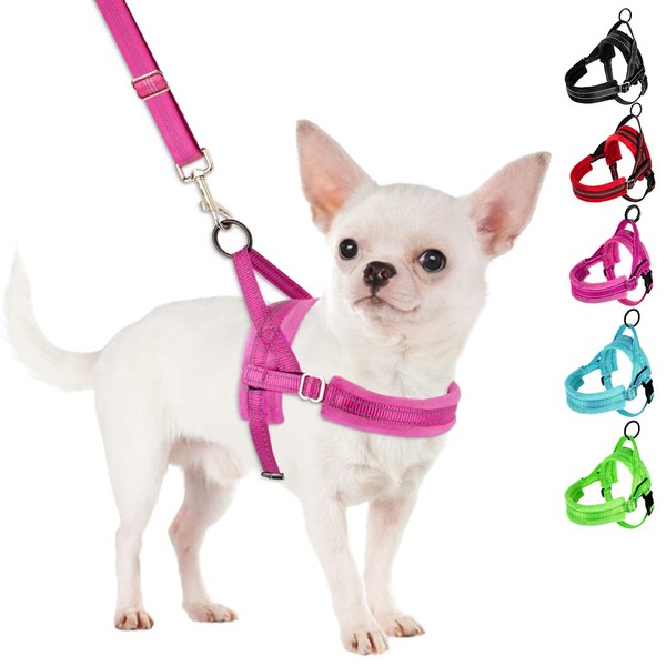 SlowTon No Pull Small Dog Harness and Leash Set, Puppy