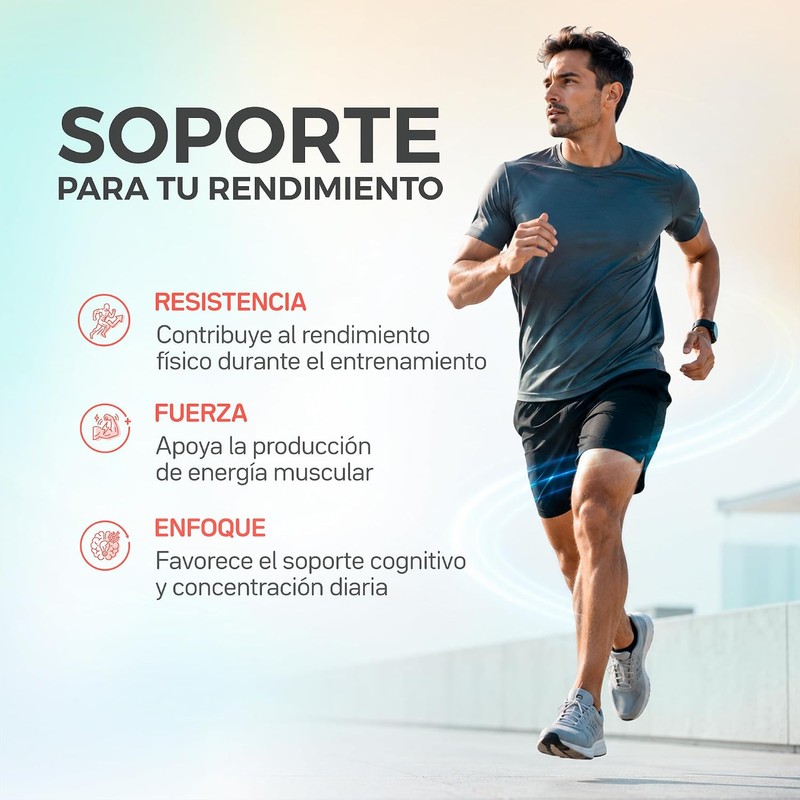 Primetech Nutrition Creatina Monohidratada Micronizada en Polvo 300 gr