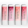Lip Naturals Tinted Lip Balm for Moisturizing Chapped Lips, 4