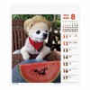 2024 Shunsuke (Weekly Turning Mini) Calendar No. 049