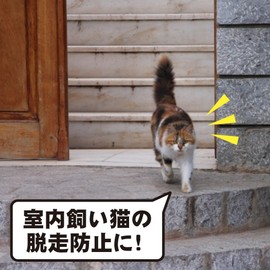 Opening and Closing Caution, Sticker, Cat, Escape Prevention, Entrance, Window, Doorway, Waterproof, UV Protection, Weatherproof, Made in Japan (Square Sign)