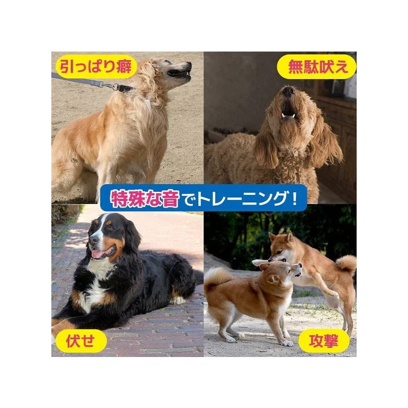 Fantasy World TDX-5SS Dog Training Disc