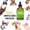 Golden Paw Dog Antibiotics with Chicken Flavor | Сat Antibiotics