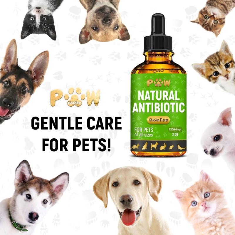 Golden Paw Dog Antibiotics with Chicken Flavor | Сat Antibiotics