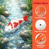 Wionin Lifelike Floating Fish Decor - Realistic Ceramic Koi &