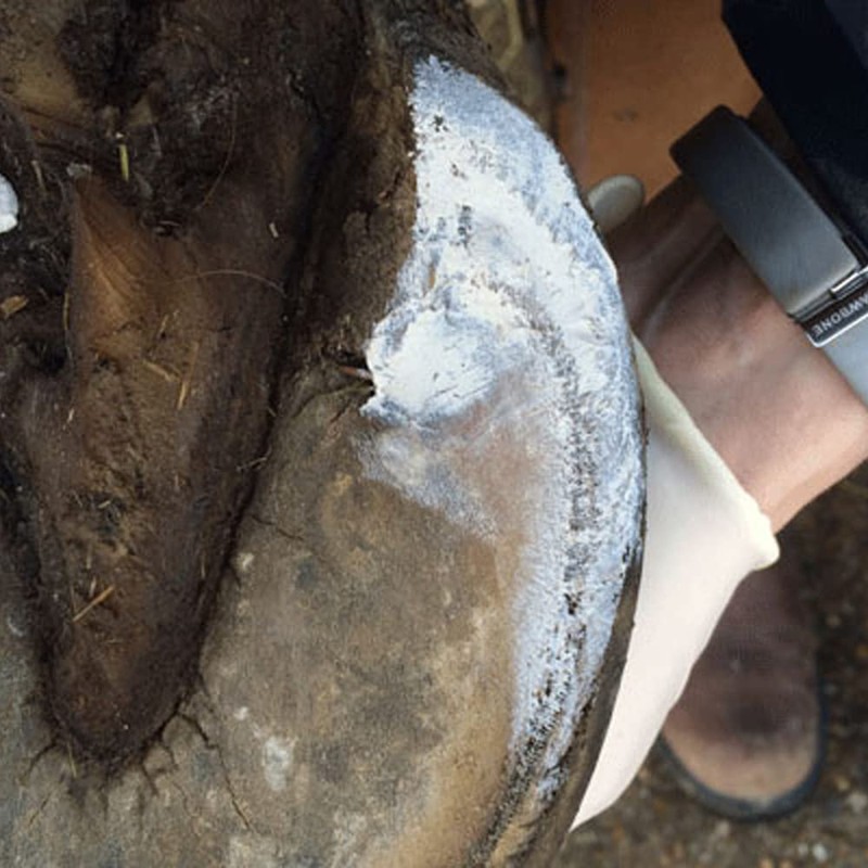 Red Horse Products - Artimud Hoof Clay (750g)