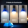 Lepro 4 Pack Linterna Camping LED, 3 Modos Portátil Apagones
