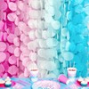 205 Ft Gender Reveal Party Decorations Ombre Pink and Blue