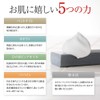 hinoki 泥炭 Stone Face Soap Clean Type G (Pack of