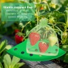 Unbranded 8Pcs Green Strawberry Supports Planting Kit with 20Pcs Insect-proof